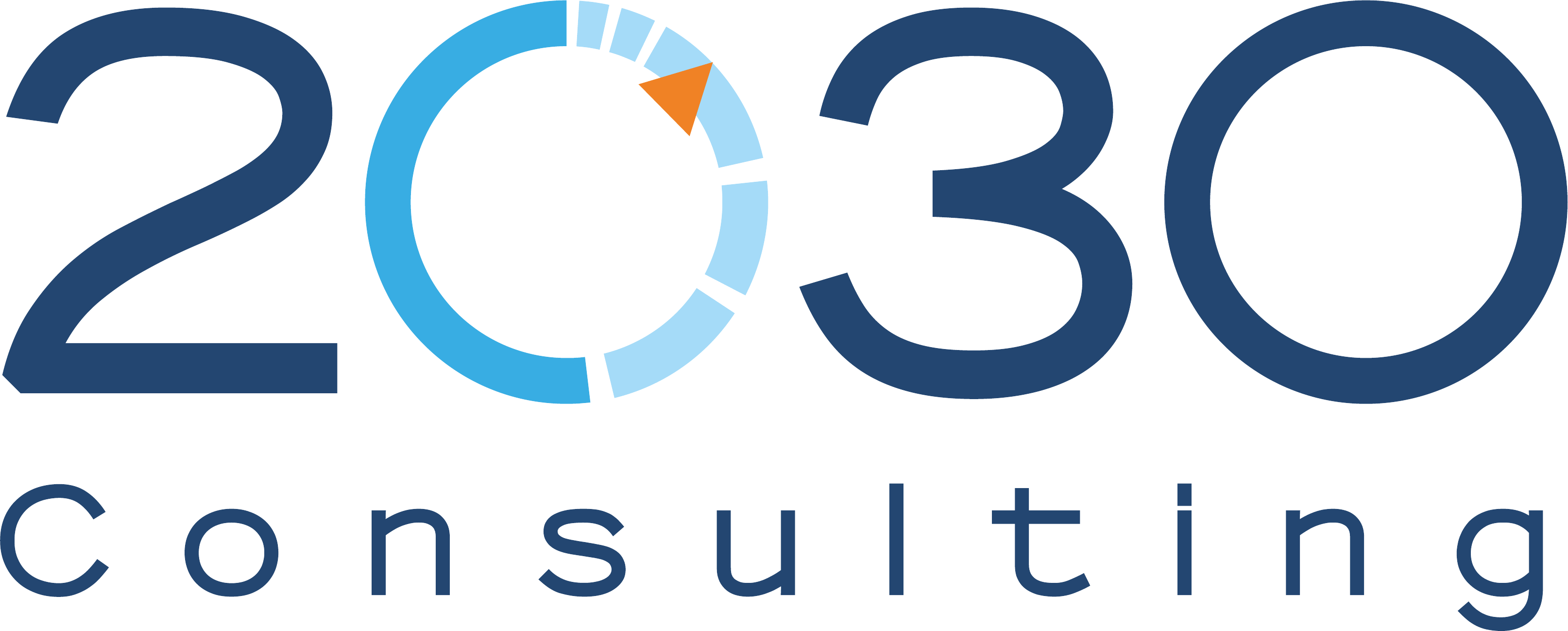 2030 Consulting